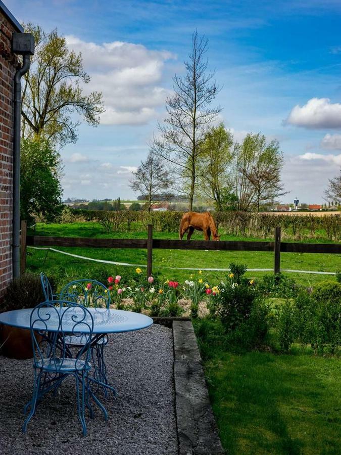 Manoir Du Kasteelveld Hotel Cassel Exterior foto